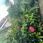 Symone Palms Retreat