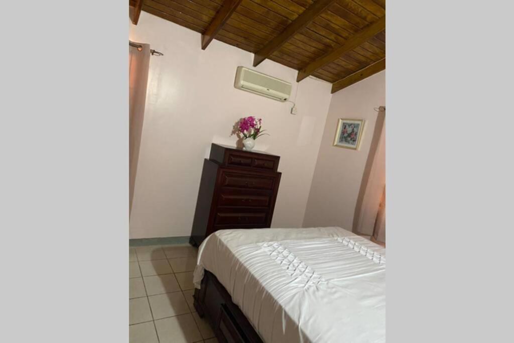 Relax And Enjoy Tranquility @ Peace Palace, Mobay