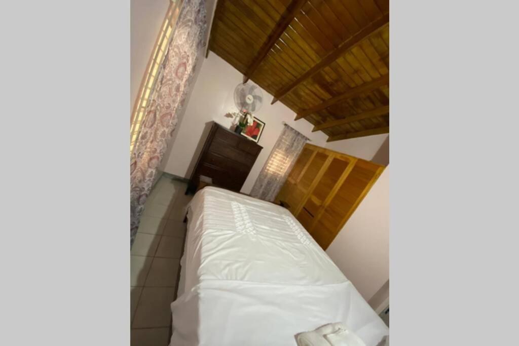 Relax And Enjoy Tranquility @ Peace Palace, Mobay Montego Bay