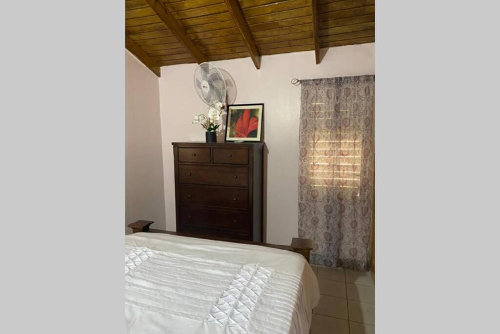 Relax And Enjoy Tranquility @ Peace Palace, Mobay Montego Bay