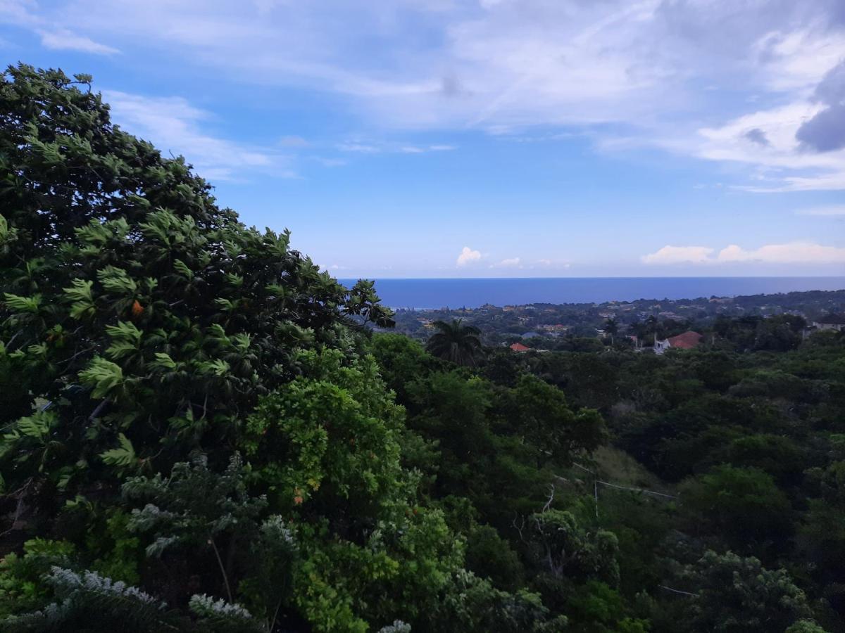 Casa de hóspedes Burg Ann's Montego Bay