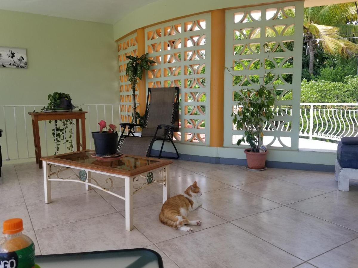 Chaudhry Second Floor Single 4*