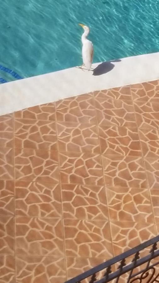 Hotel Chaudhry Second Floor Single 4*