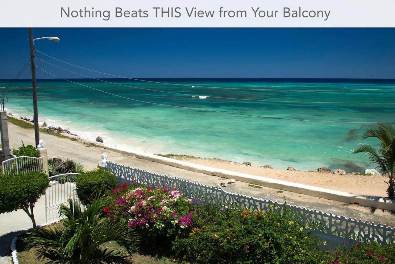 Calypso Jamaica Montego Bay