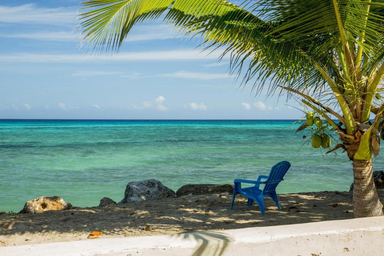 Calypso Jamaica