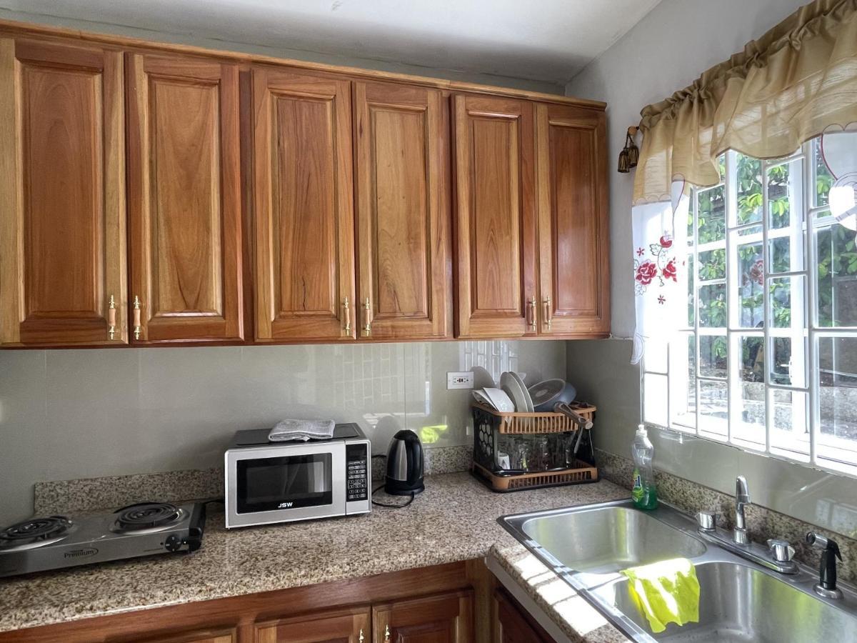 Skyline Suites, Breathtaking Mountains & View Apts * Montego Bay