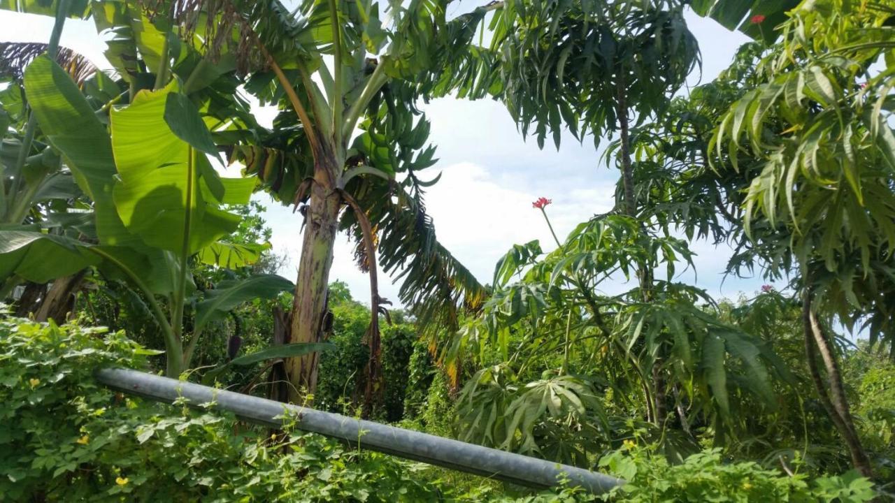 Chinnor-kent Ave Pousada Montego Bay