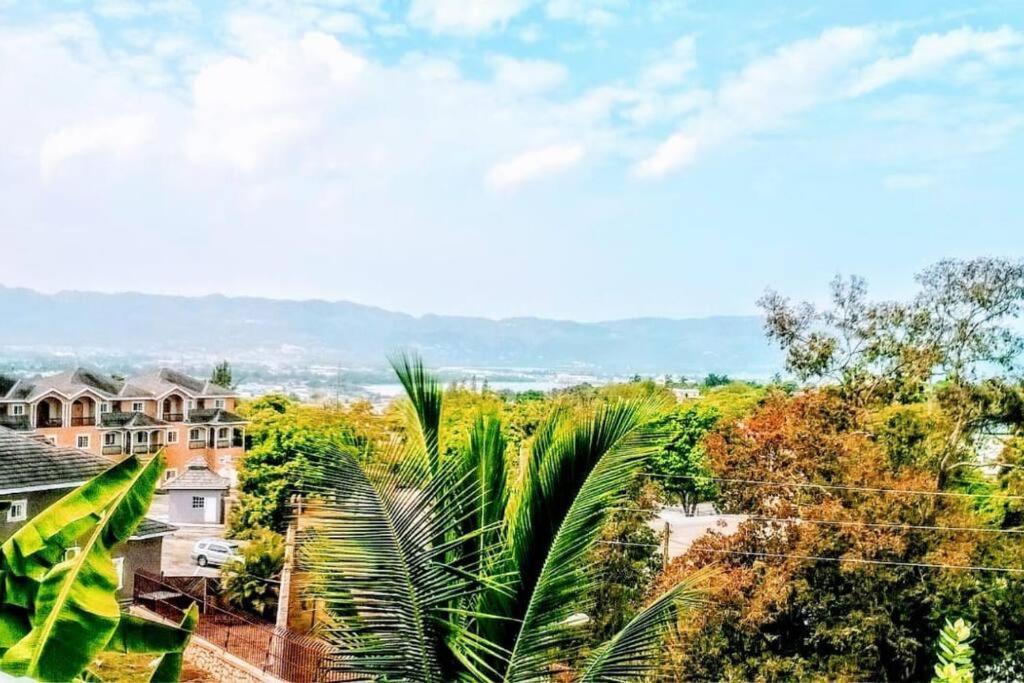Apartment Free Airport Pickup 5 Minutes From Airport And Montego Bay