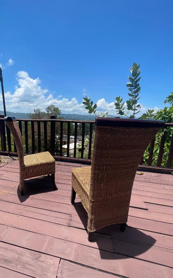 Free Airport Pickup 5 Minutes From Airport And Apartment Montego Bay