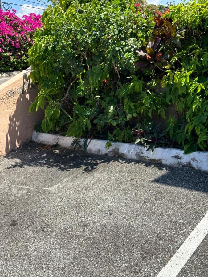 Remarkable 1-bed In Apartment Montego Bay