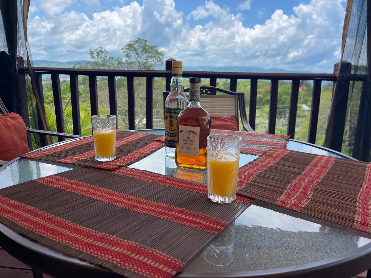 Apartment Free Airport Pickup 5 Minutes From Airport And Montego Bay