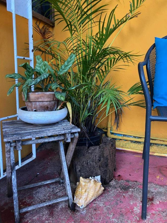 Guest house Somom Mobay