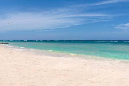 Ultra Modern 2br Penthouse, Sleeps 5, Beach Front, Pool, Roof Patio,