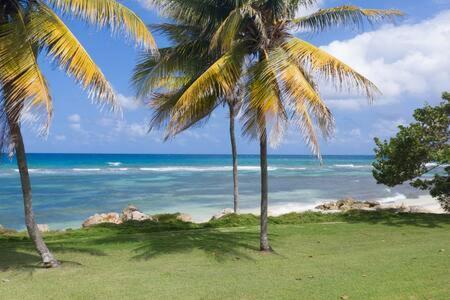 Ultra Modern 2br Penthouse, Sleeps 5, Beach Front, Pool, Roof Patio, Montego Bay