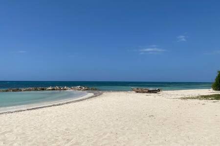 Apartment Ultra Modern 2br Penthouse, Sleeps 5, Beach Front, Pool, Roof Patio,