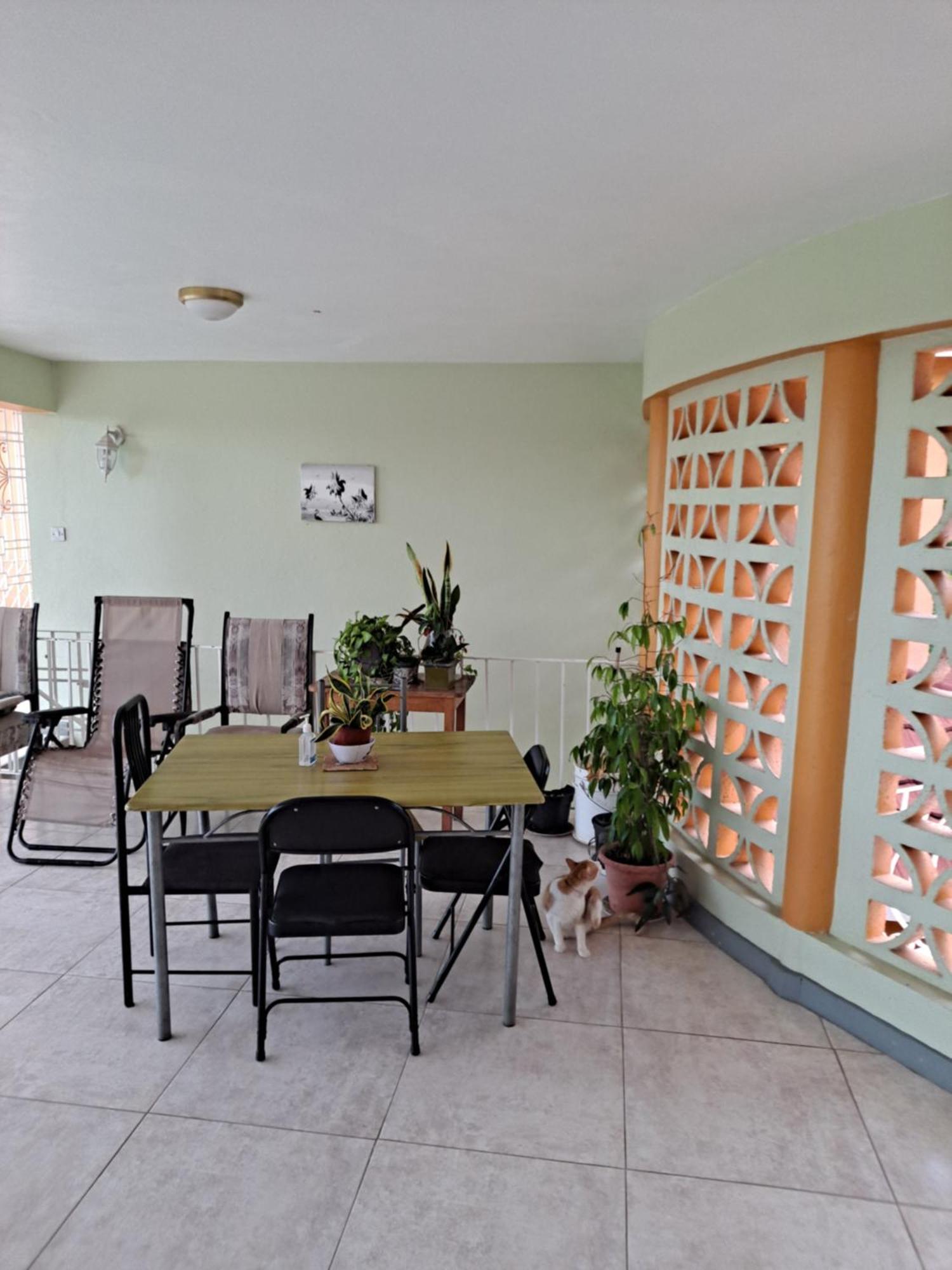 Guest house Chaudhry House Montego Bays- 2nd Floor