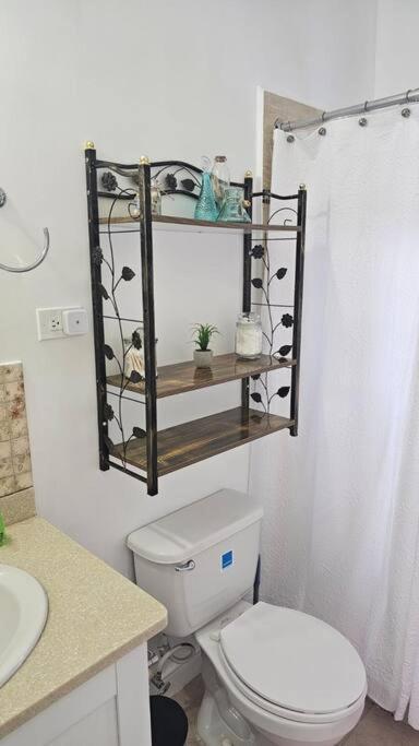 Starz Apartment