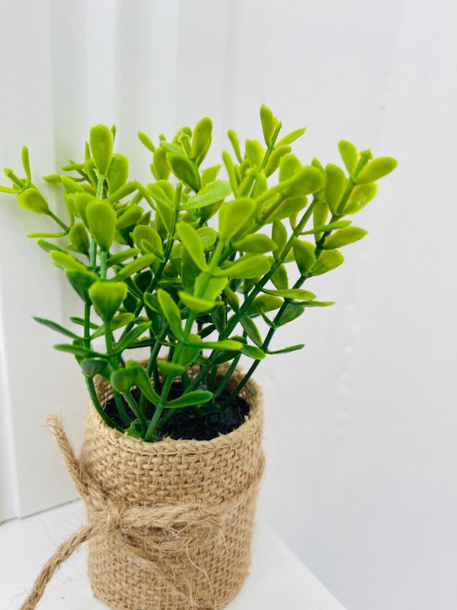 Little-hideaway, Apartment