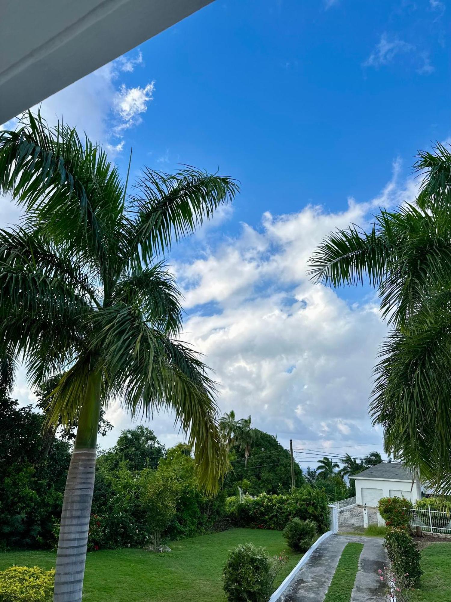 Vacation In Jamaica * Montego Bay