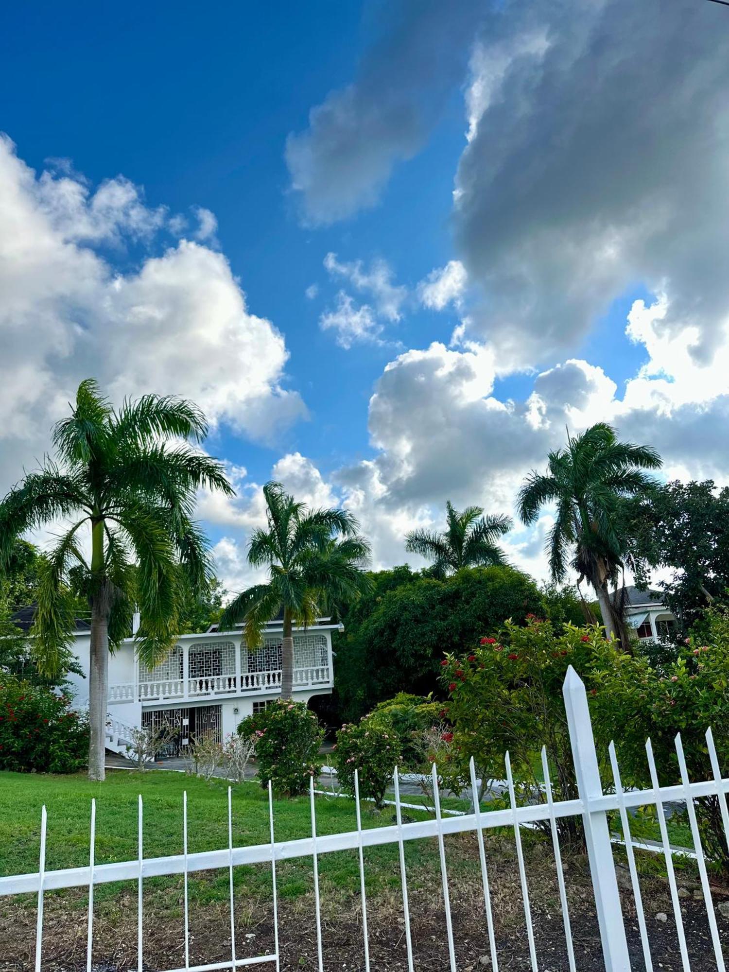 Vacation In Jamaica *