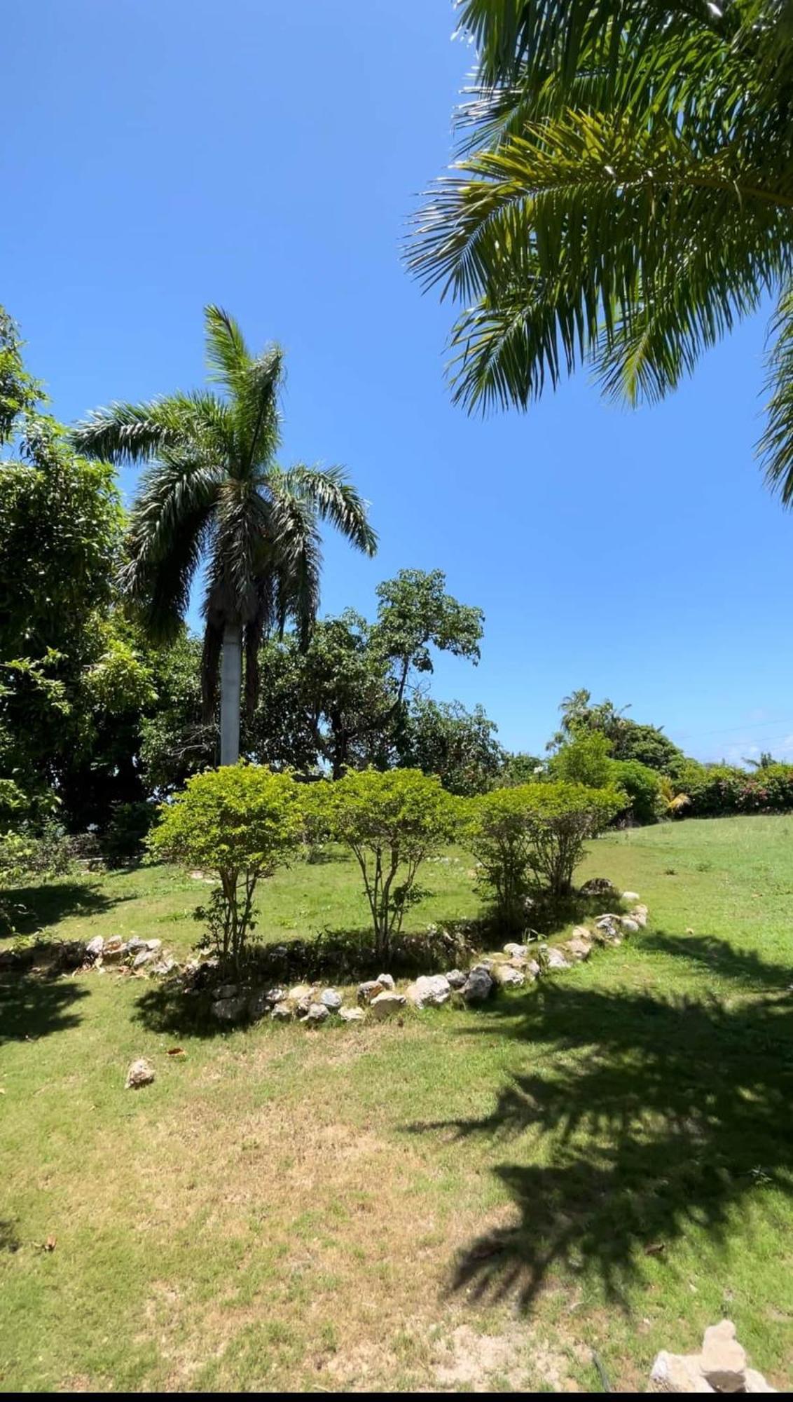 Vacation In Jamaica Casa de férias