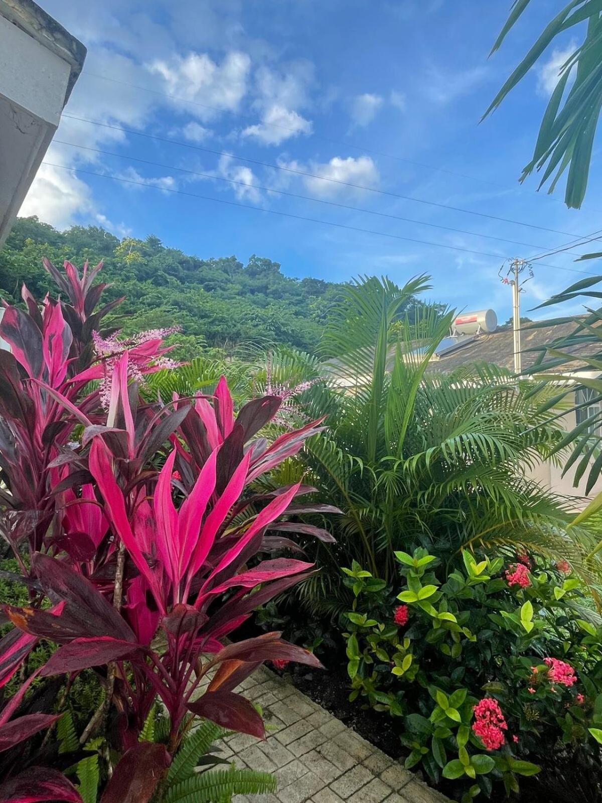 Symone Palms Retreat *