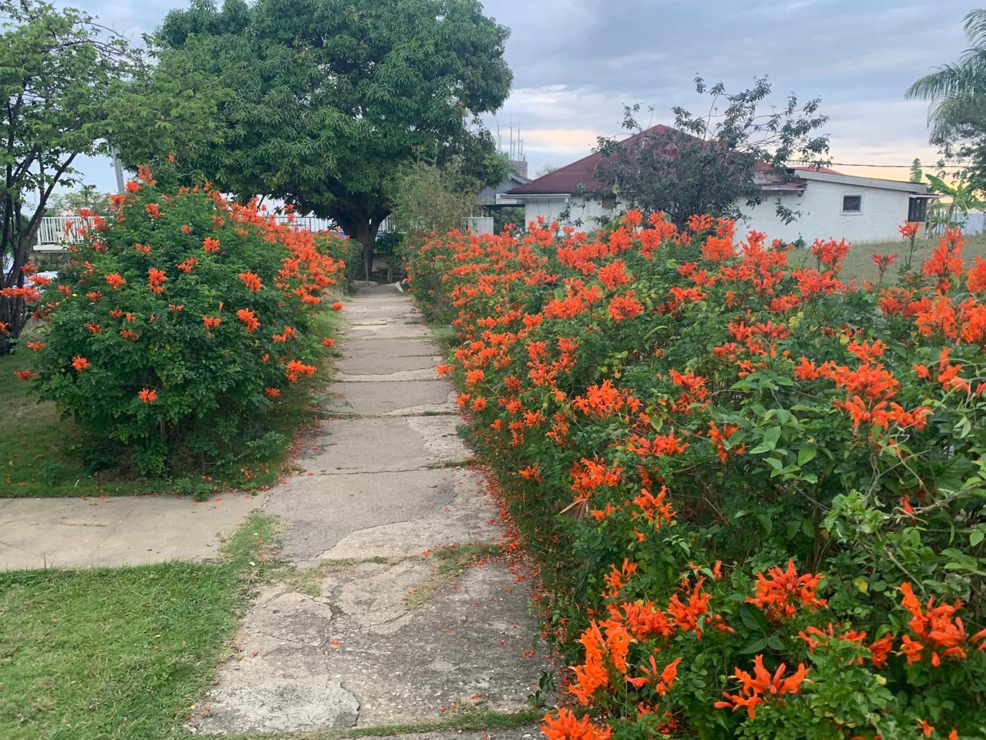 Garden * Montego Bay