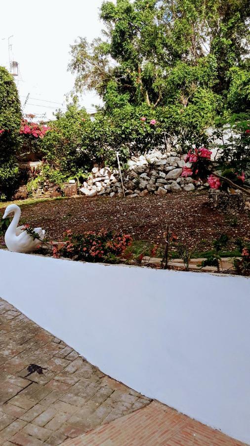 Your Private Getaway On The Hill 3* Montego Bay
