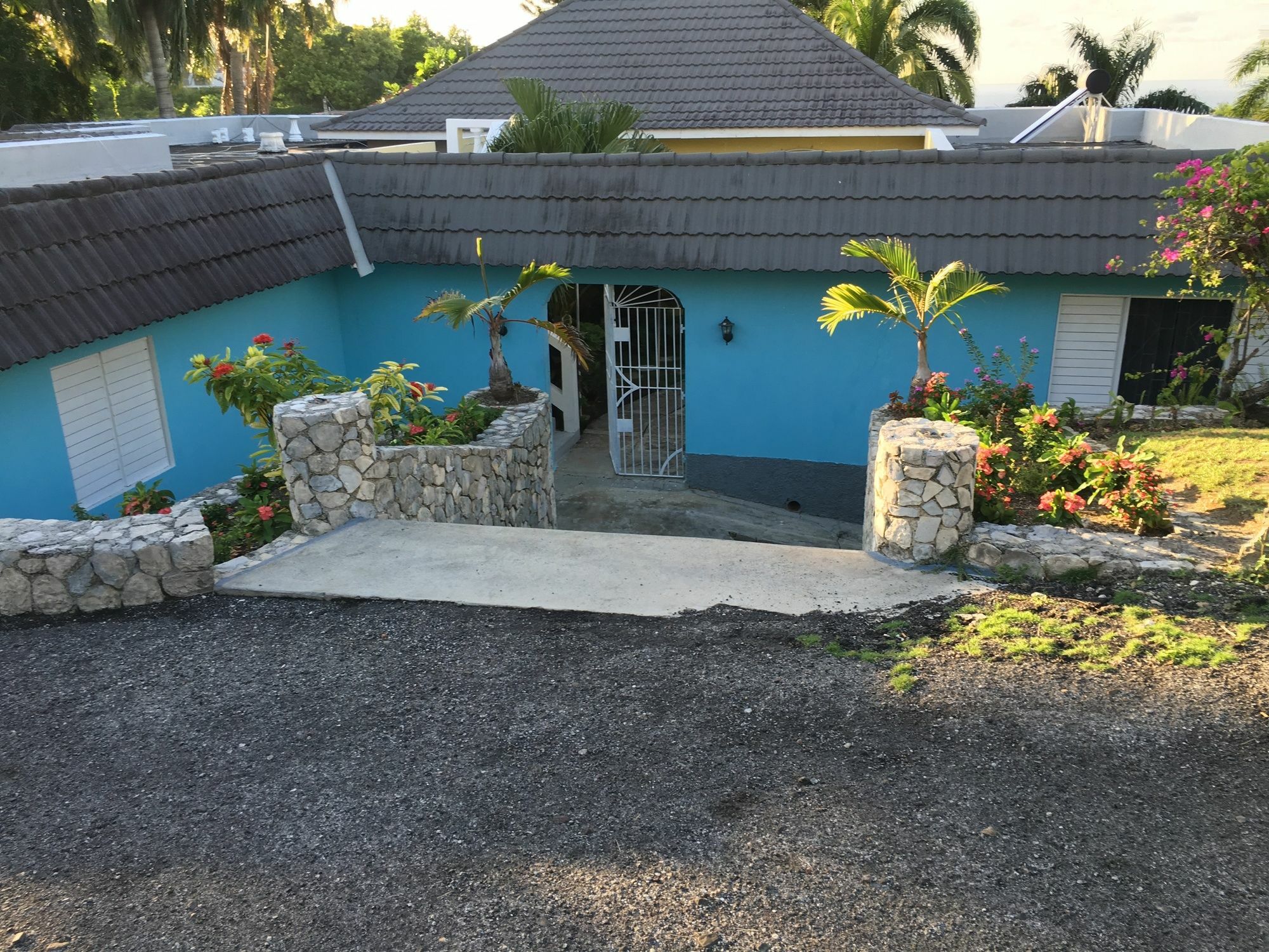 Hotel Jamaica Rose 3*