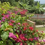 Yanceylargo Estate - Newly Renovated 7Br Beautiful Two-Story W Gorgeous Mountain View Villa