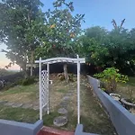 Paradise Treasure