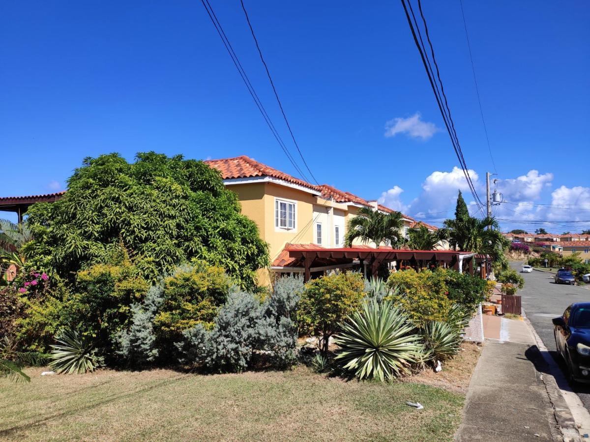 Montego Bay Garden Studio Apartment