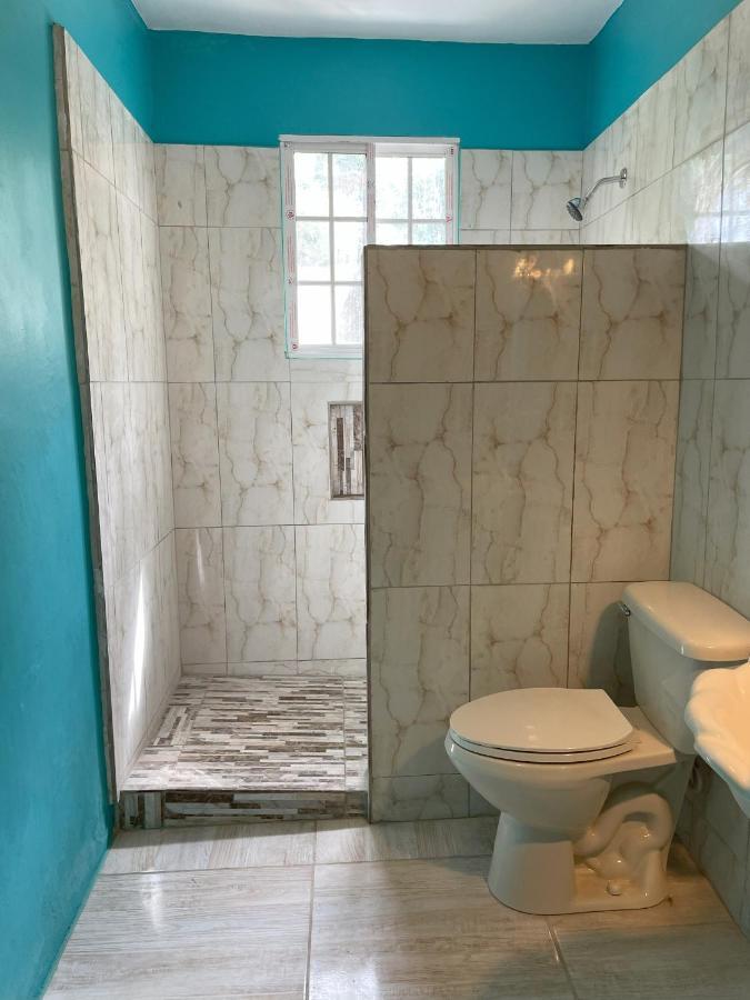 Villa Yanceylargo Estate - Newly Renovated 7br Beautiful Two-story W Gorgeous Mountain View Montego Bay