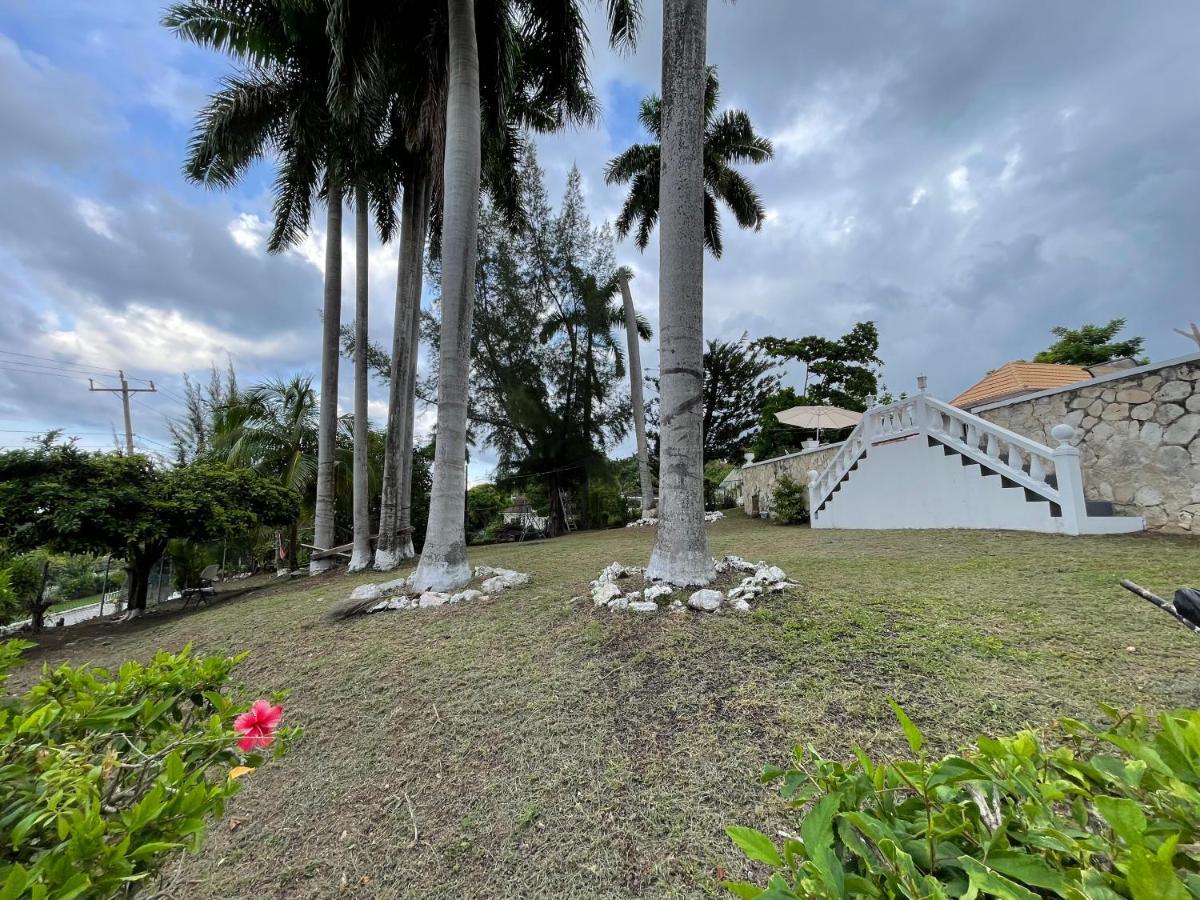The @ Peaceful Palms Albergue Montego Bay