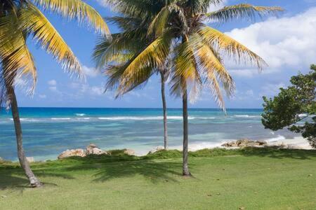 Hospitality Expert Mmc - Fun Pool Bar & * Montego Bay