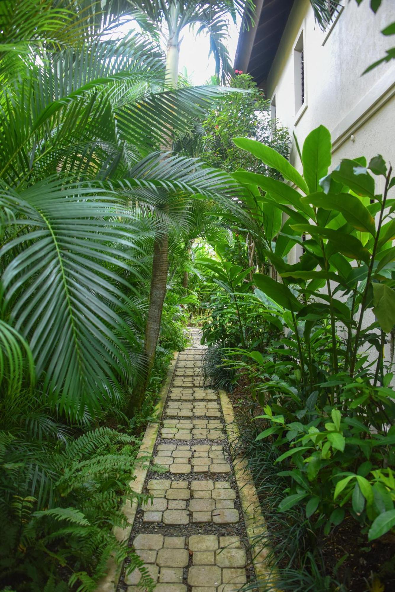 Villa Afimi House 4br Beachfront *