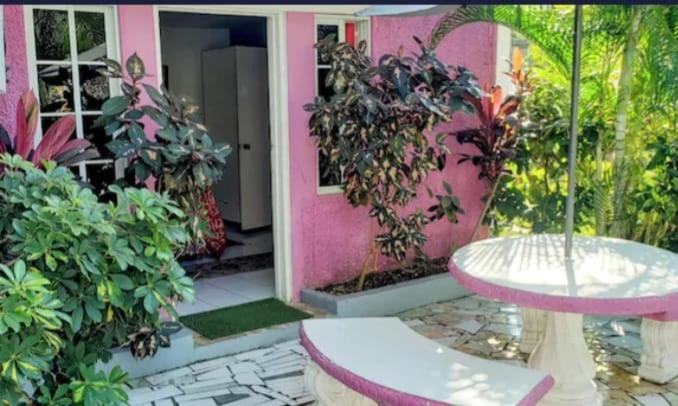 Pink Hibiscus Villa Montego Bay