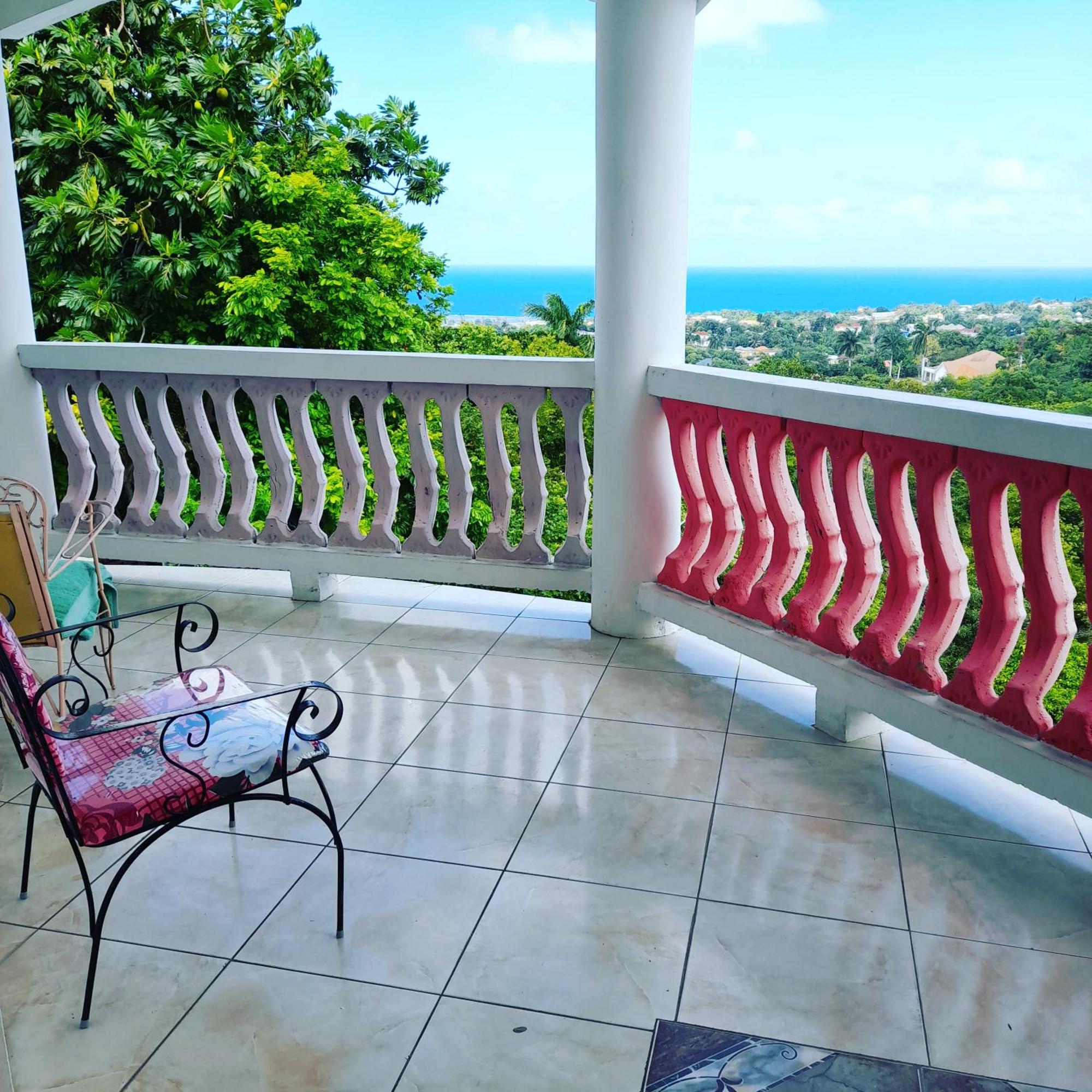 Jamaica Sweetsop & Tours Homestay *