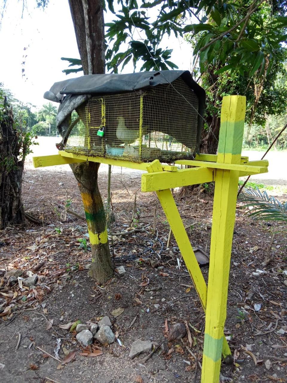 Homestay Colorful Private Oasis