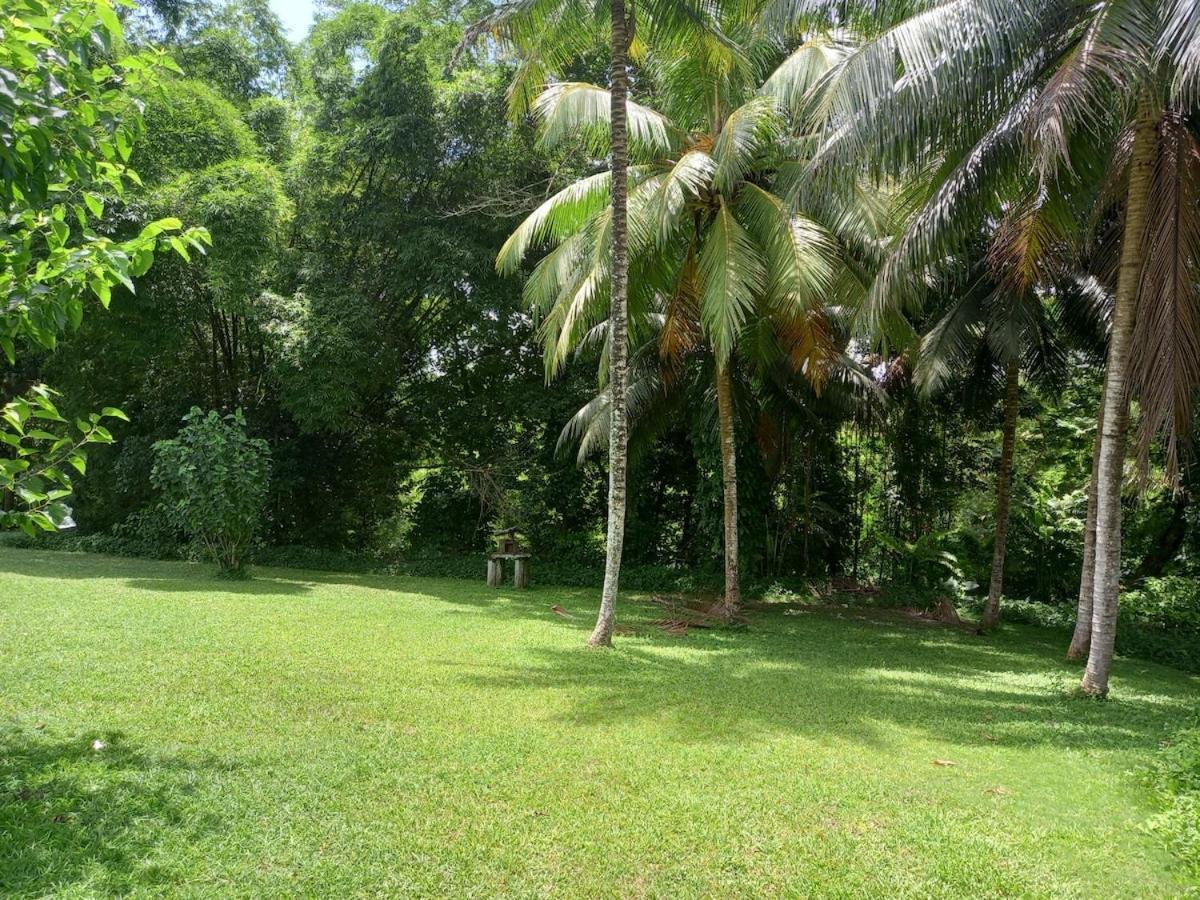 The Sacred Space Corenection * Montego Bay