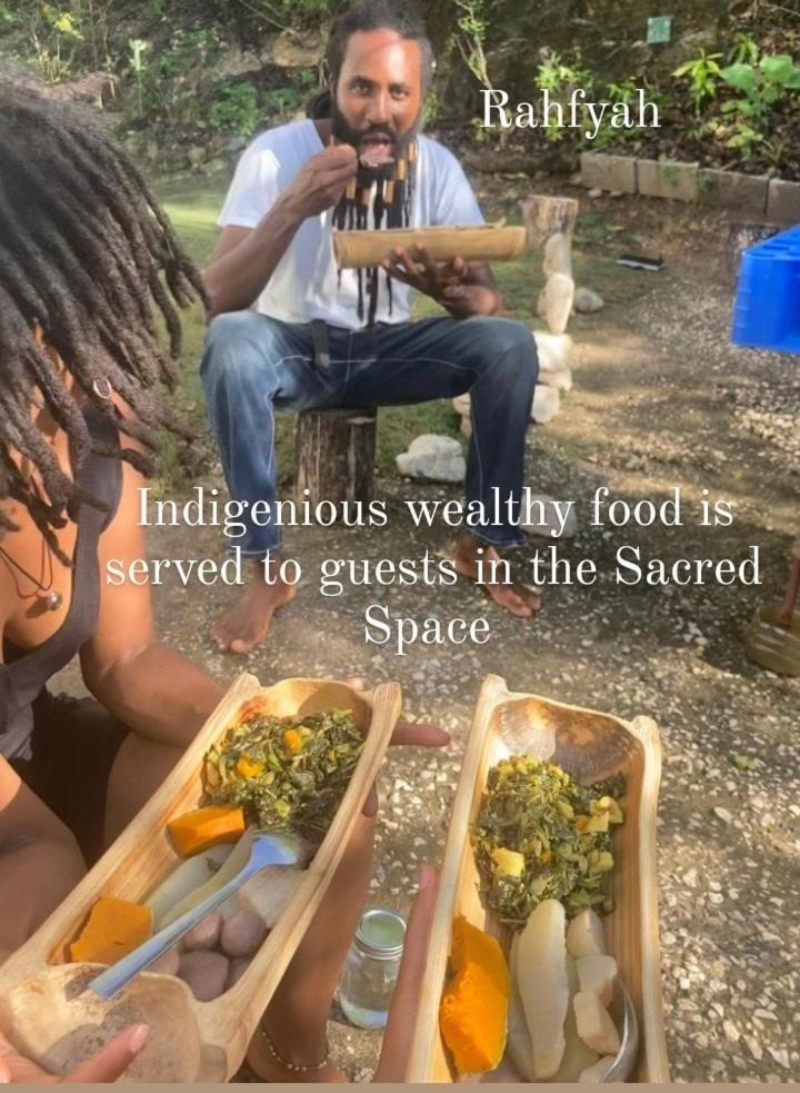 The Sacred Space Corenection Apartment Montego Bay