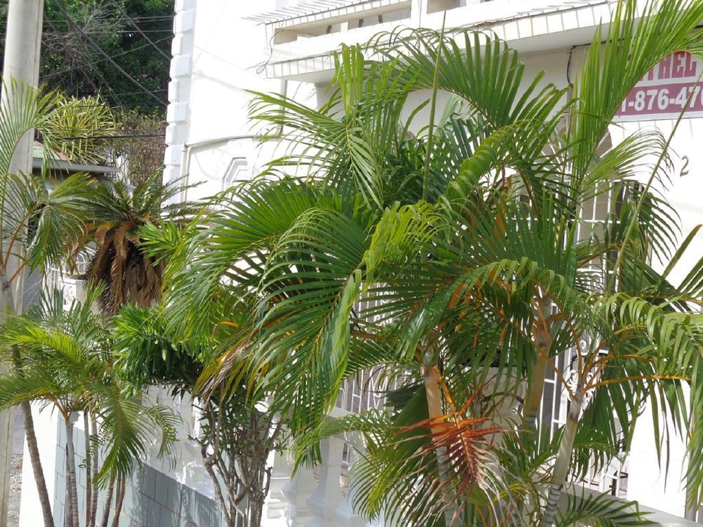 Bethel Court Guest house 2*