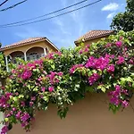 Yanceylargoestate 2Br Villa With Mountain Views