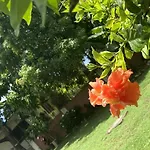 Yanceylargoestate 2Br Villa With Mountain Views