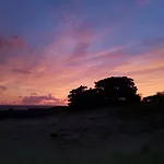 Vikings Rasta Retreats