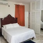 Wizzy Apartment Montego Bay