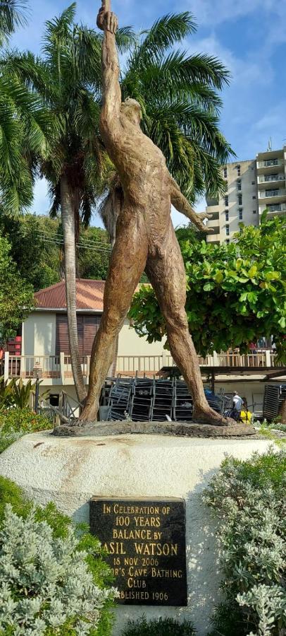 Mobay Palmas *
