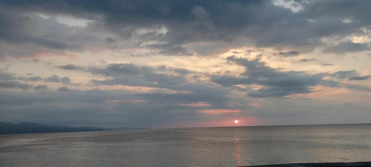 Mobay Palmas *