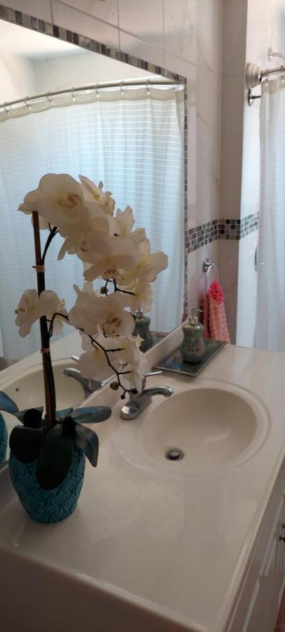 Mobay Palmas Villa Montego Bay