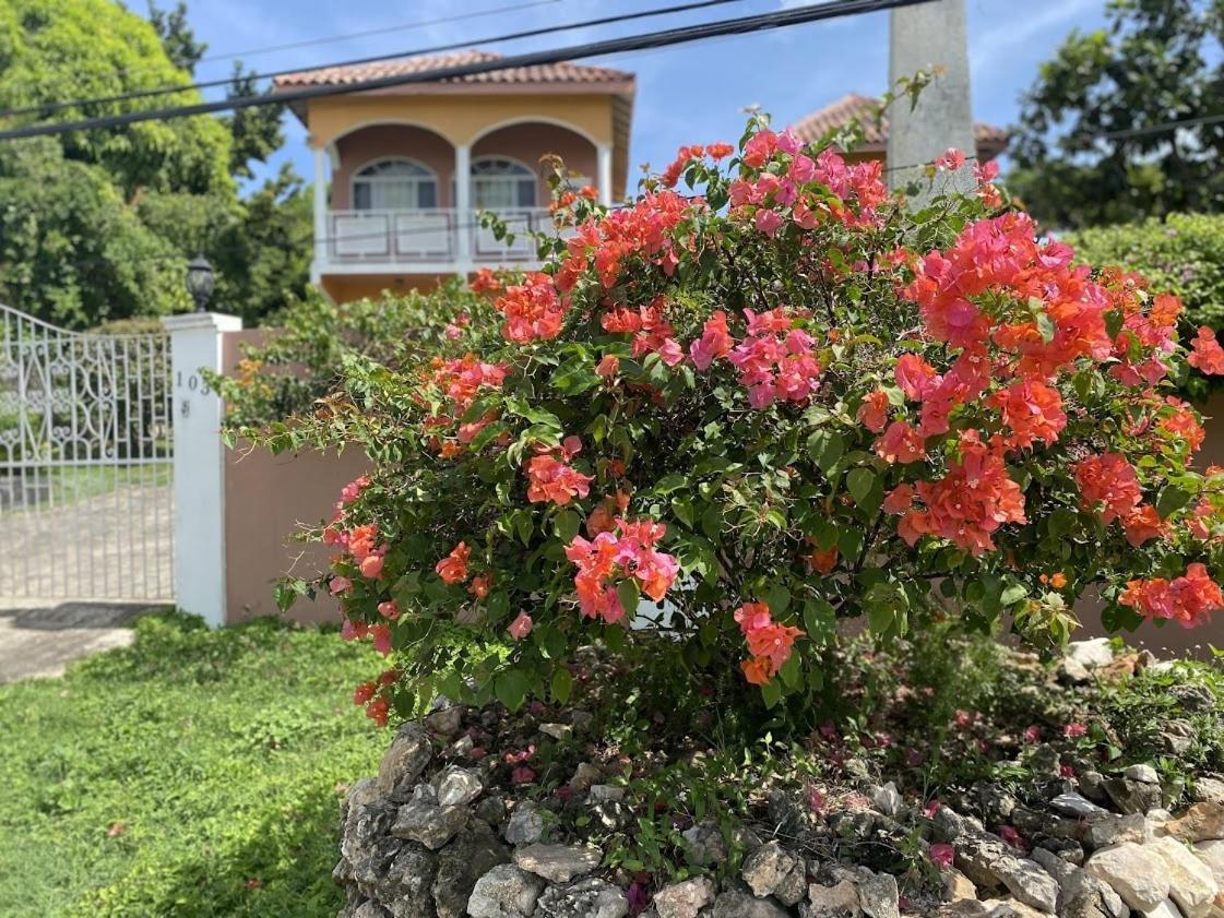 Yanceylargoestate 2br With Mountain Views
